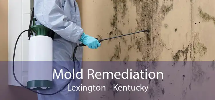 Mold Remediation Lexington - Kentucky