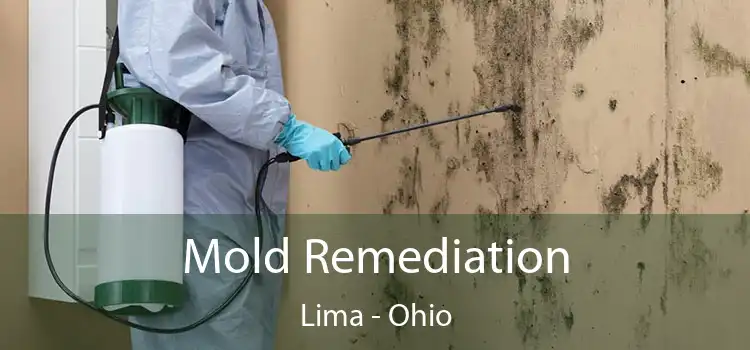 Mold Remediation Lima - Ohio