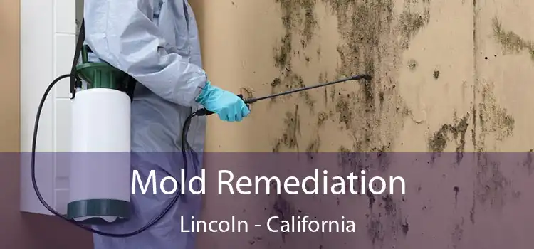 Mold Remediation Lincoln - California