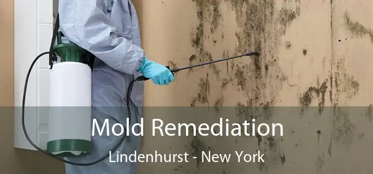 Mold Remediation Lindenhurst - New York