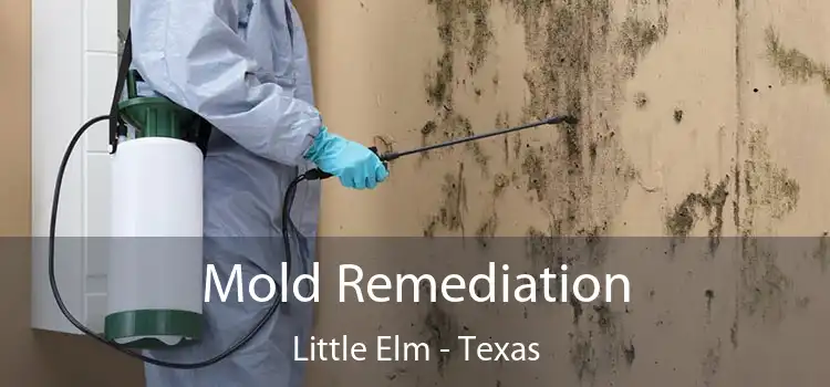 Mold Remediation Little Elm - Texas