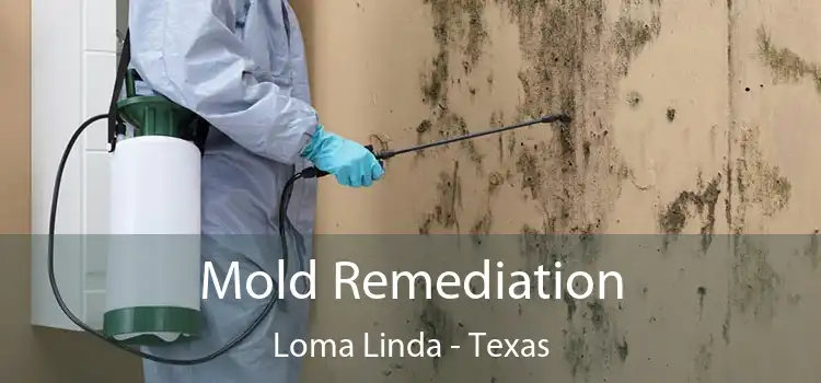 Mold Remediation Loma Linda - Texas