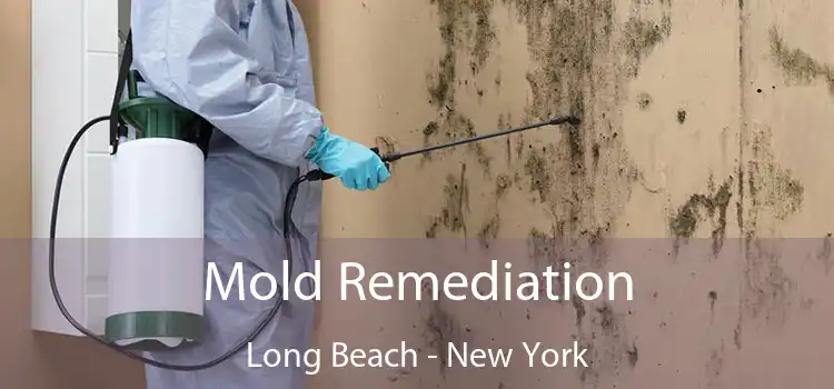 Mold Remediation Long Beach - New York