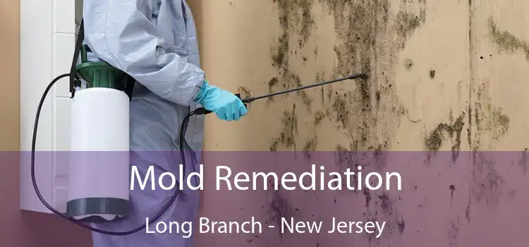 Mold Remediation Long Branch - New Jersey