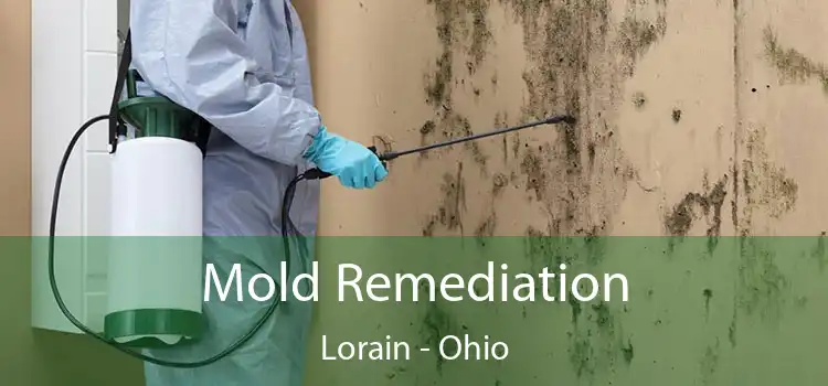 Mold Remediation Lorain - Ohio