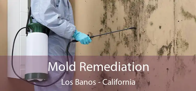 Mold Remediation Los Banos - California