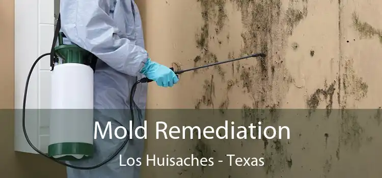 Mold Remediation Los Huisaches - Texas