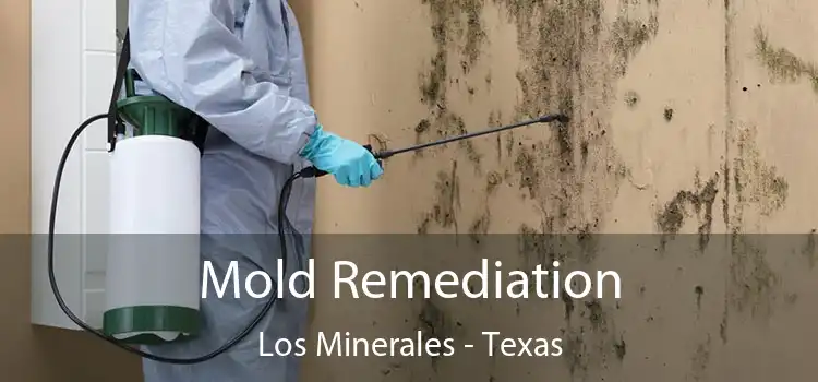 Mold Remediation Los Minerales - Texas