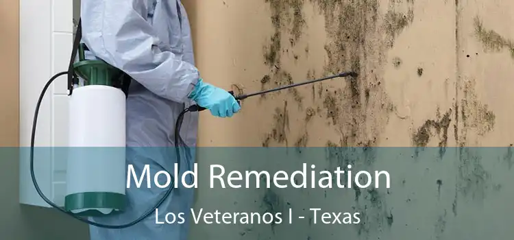 Mold Remediation Los Veteranos I - Texas