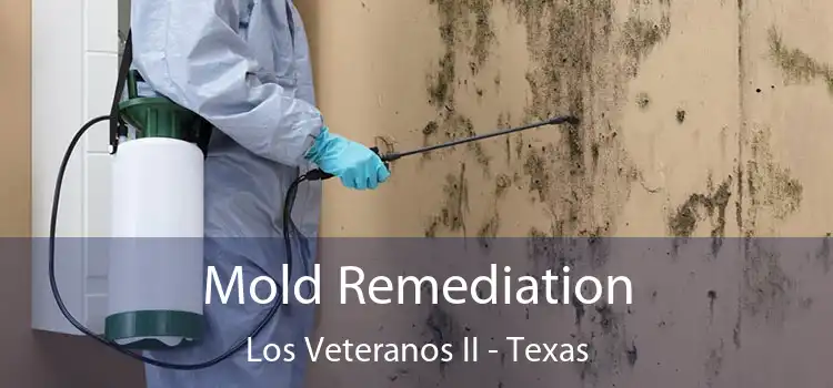 Mold Remediation Los Veteranos II - Texas