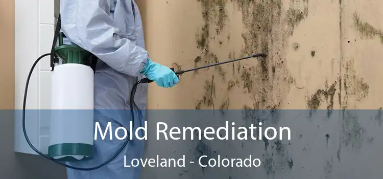 Mold Remediation Loveland - Colorado