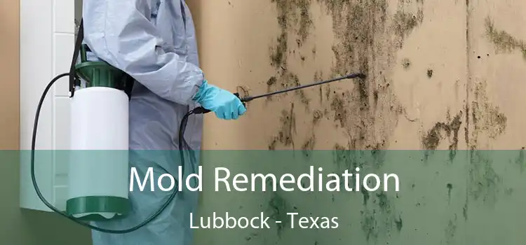 Mold Remediation Lubbock - Texas