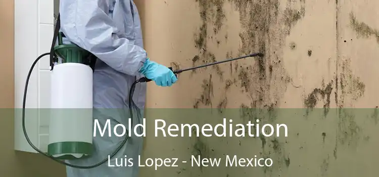 Mold Remediation Luis Lopez - New Mexico