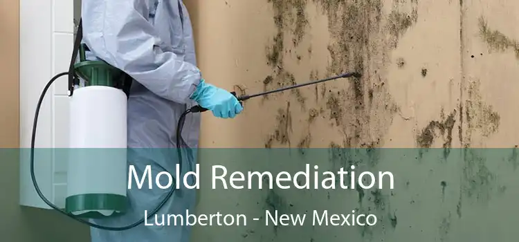 Mold Remediation Lumberton - New Mexico