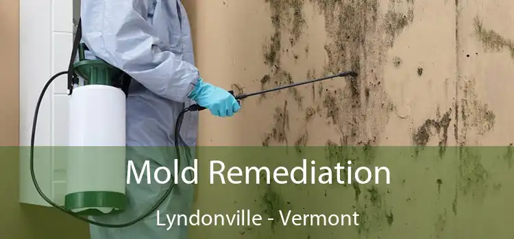 Mold Remediation Lyndonville - Vermont