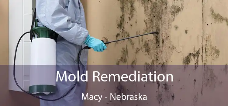 Mold Remediation Macy - Nebraska