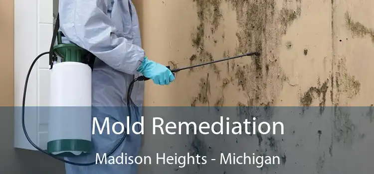 Mold Remediation Madison Heights - Michigan