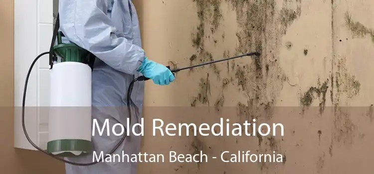 Mold Remediation Manhattan Beach - California