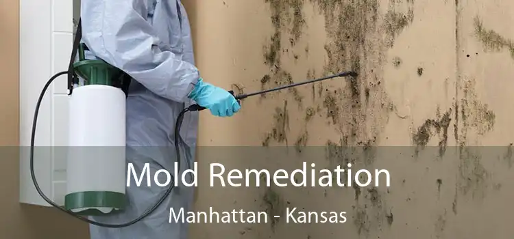 Mold Remediation Manhattan - Kansas