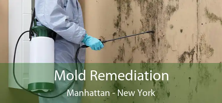 Mold Remediation Manhattan - New York