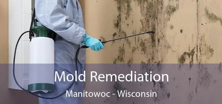 Mold Remediation Manitowoc - Wisconsin