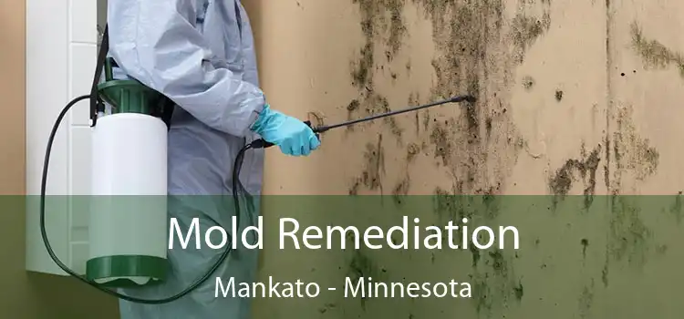 Mold Remediation Mankato - Minnesota