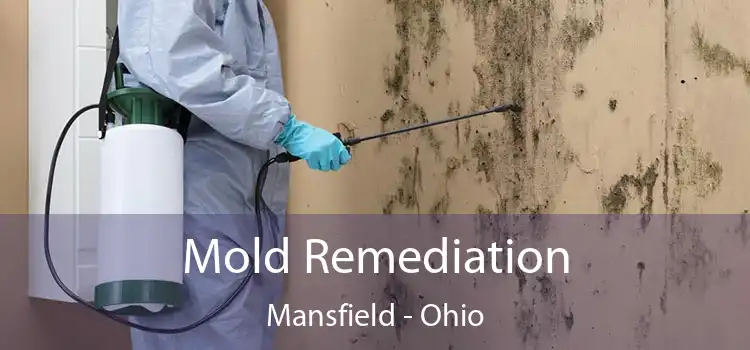 Mold Remediation Mansfield - Ohio