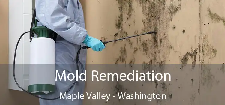 Mold Remediation Maple Valley - Washington