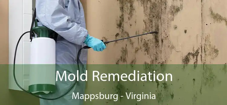 Mold Remediation Mappsburg - Virginia