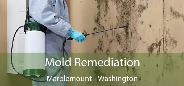 Mold Remediation Marblemount - Washington