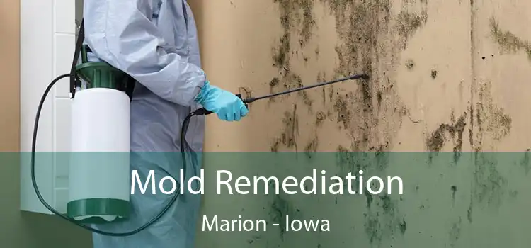 Mold Remediation Marion - Iowa