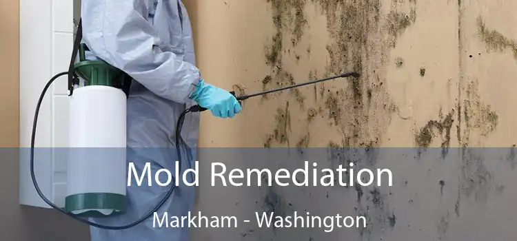 Mold Remediation Markham - Washington