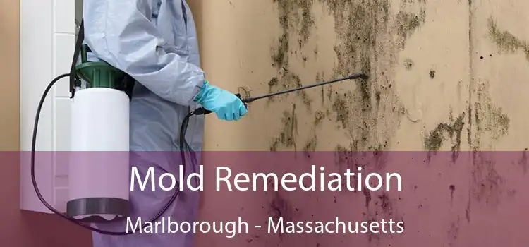 Mold Remediation Marlborough - Massachusetts