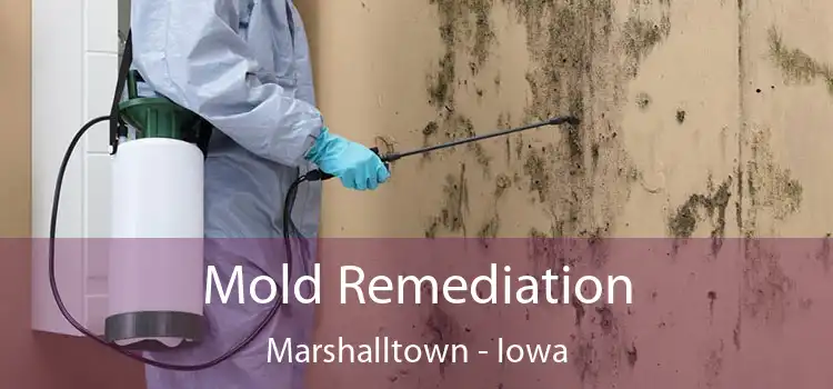 Mold Remediation Marshalltown - Iowa