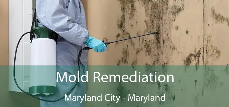 Mold Remediation Maryland City - Maryland