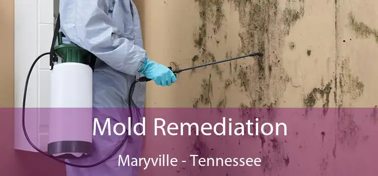 Mold Remediation Maryville - Tennessee