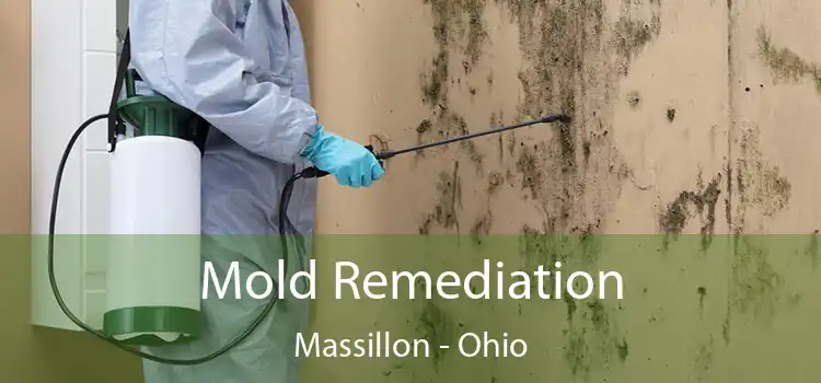 Mold Remediation Massillon - Ohio