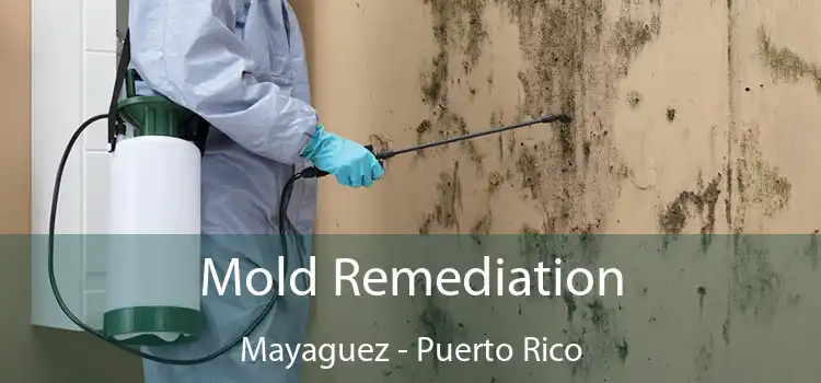 Mold Remediation Mayaguez - Puerto Rico