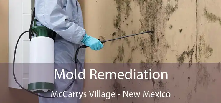 Mold Remediation McCartys Village - New Mexico