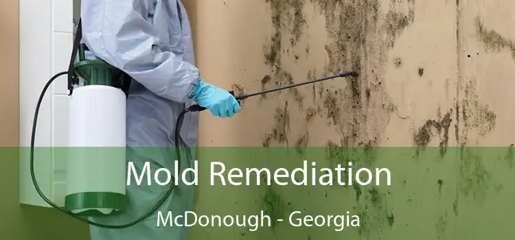 Mold Remediation McDonough - Georgia