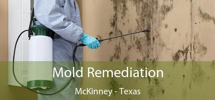 Mold Remediation McKinney - Texas