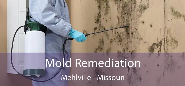 Mold Remediation Mehlville - Missouri