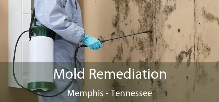 Mold Remediation Memphis - Tennessee