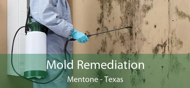 Mold Remediation Mentone - Texas