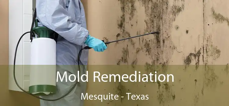 Mold Remediation Mesquite - Texas