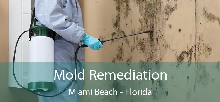 Mold Remediation Miami Beach - Florida