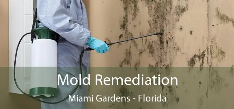 Mold Remediation Miami Gardens - Florida