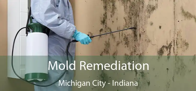 Mold Remediation Michigan City - Indiana