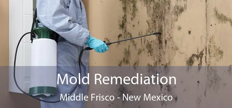 Mold Remediation Middle Frisco - New Mexico