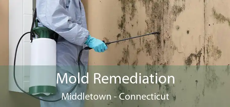 Mold Remediation Middletown - Connecticut